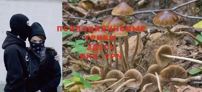 MEGA онион  Лодейное Поле  Галлюциногенные грибы MAGIC MUSHROOMS  купить наркотики цена 